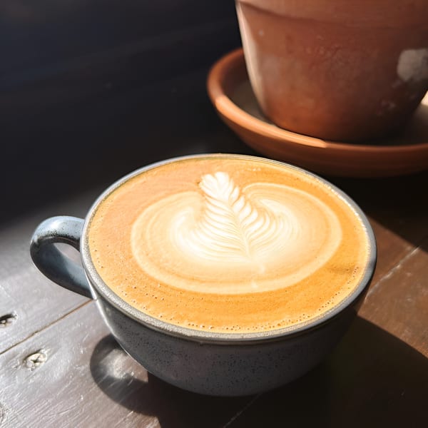 A latte with intricate leaf art in a gray mug on a sunlit wooden table at Jude's Health and Java House.