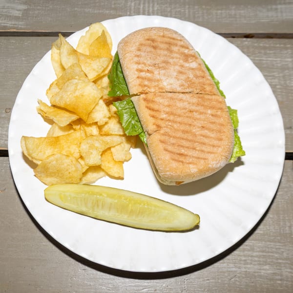 Grilled panini sandwich with lettuce, chips, and a pickle spear on a white plate.